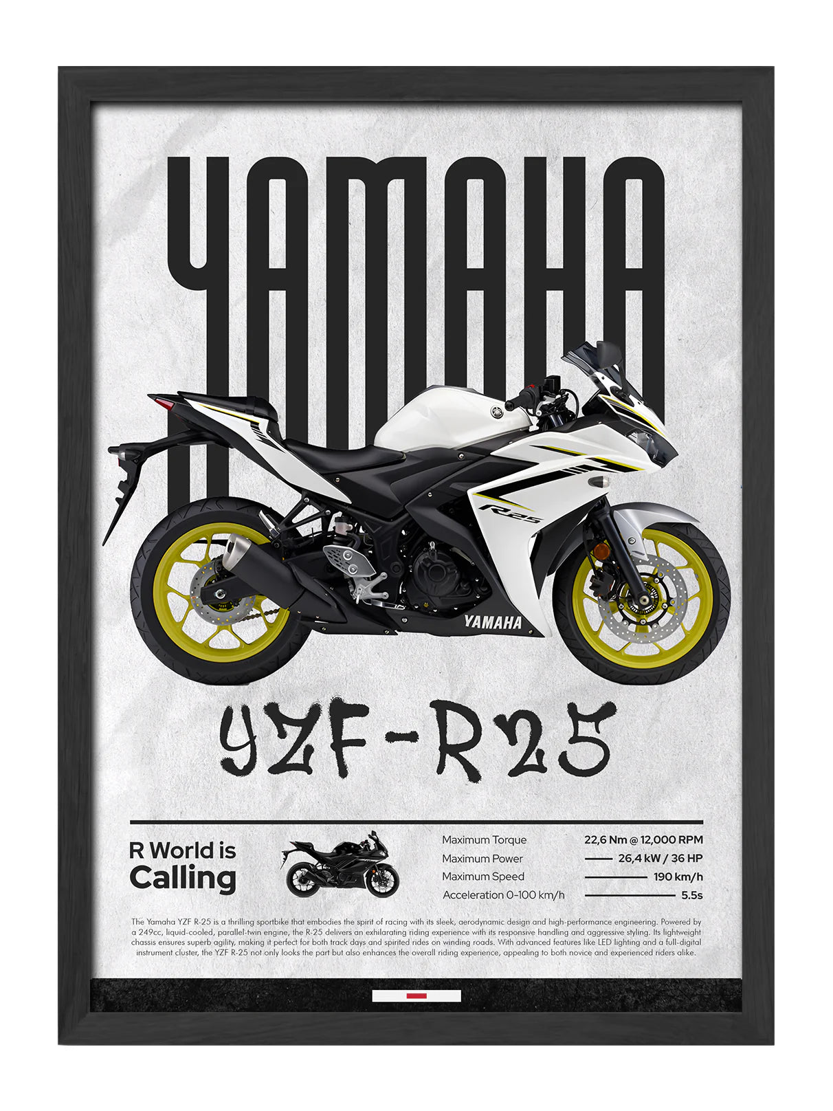 YAMAHA R25