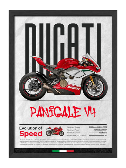 DUCATI PANİGALE