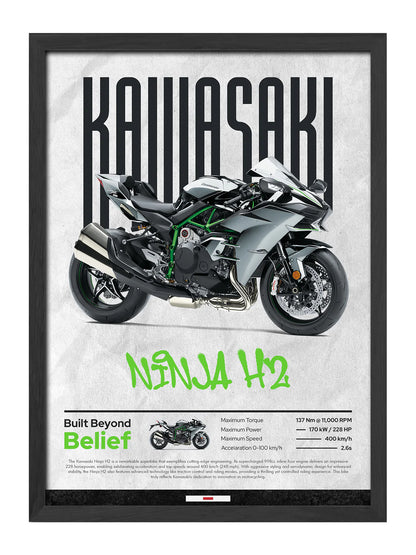 KAWASAKİ NİNJA H2&H2R
