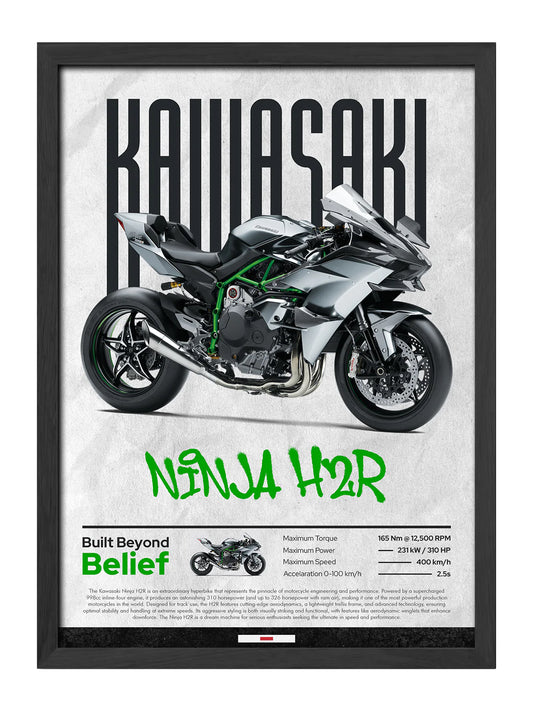 KAWASAKİ NİNJA H2&H2R