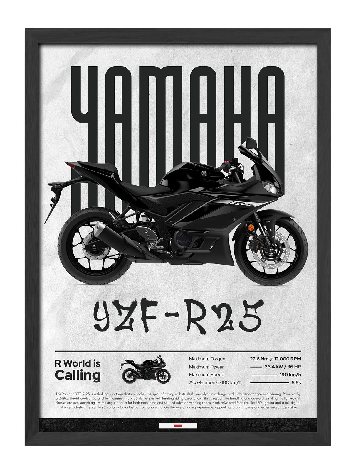 YAMAHA R25